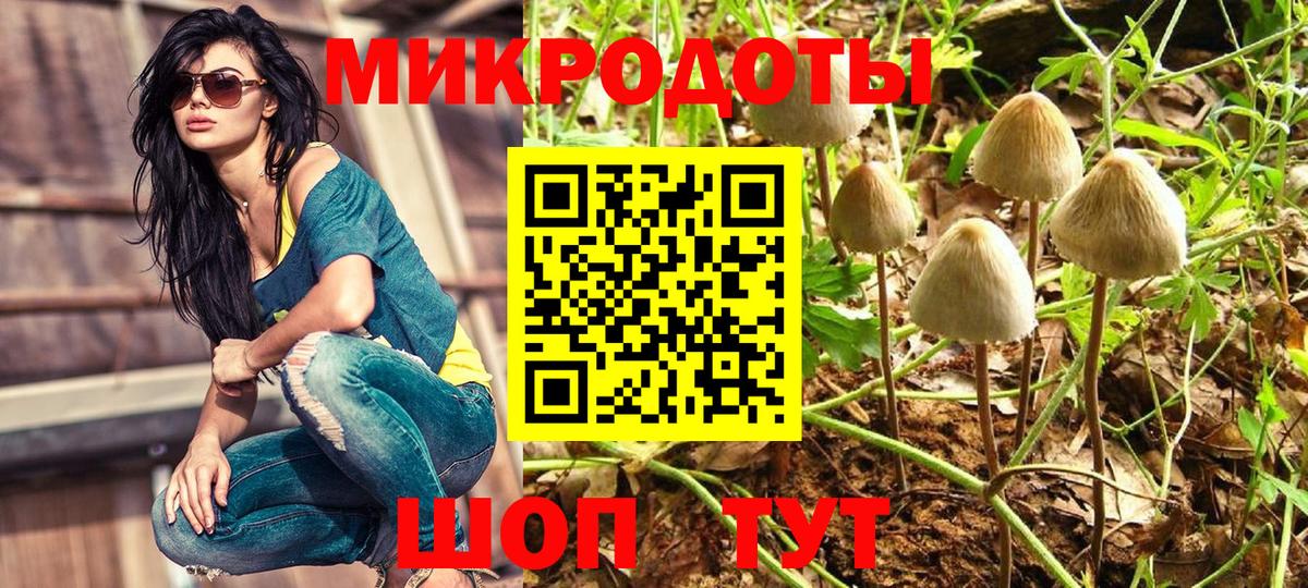Луга  Псилоцибиновые грибы прущие грибы  Вход с VPN 