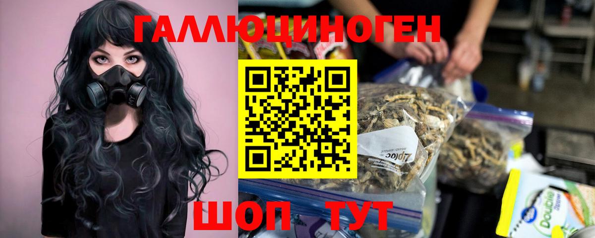 Галлюциногенные грибы GOLDEN TEACHER Луга